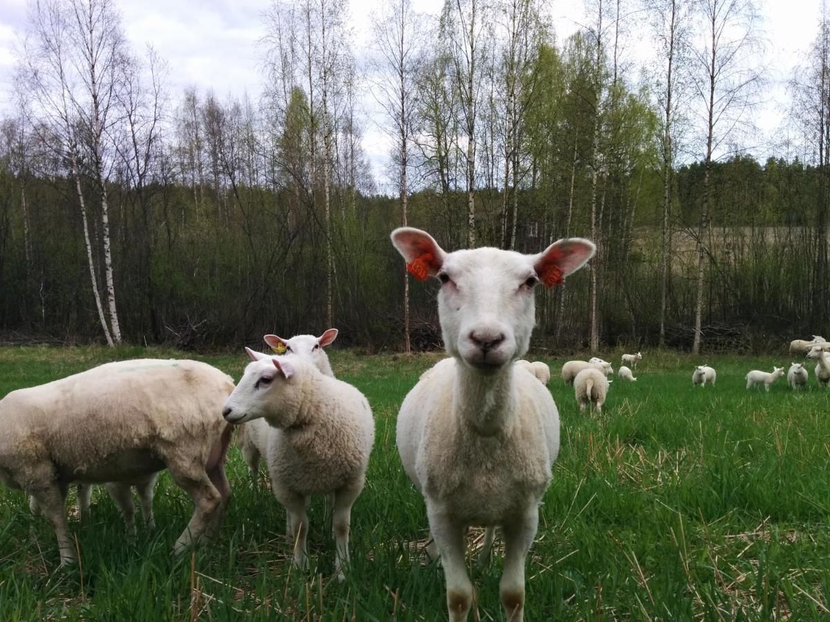 Вилла Suvituuli | Paajoen Vuokramoekit Himos Экстерьер фото